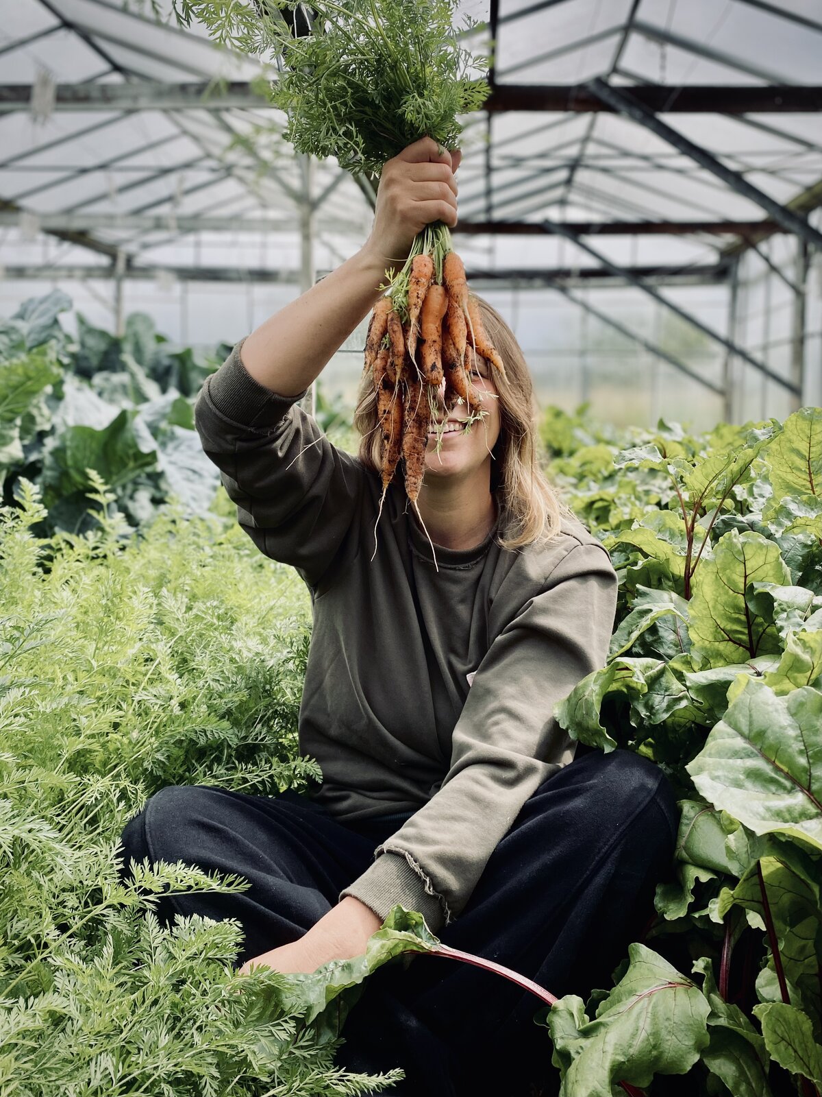 Portrait of the farmer